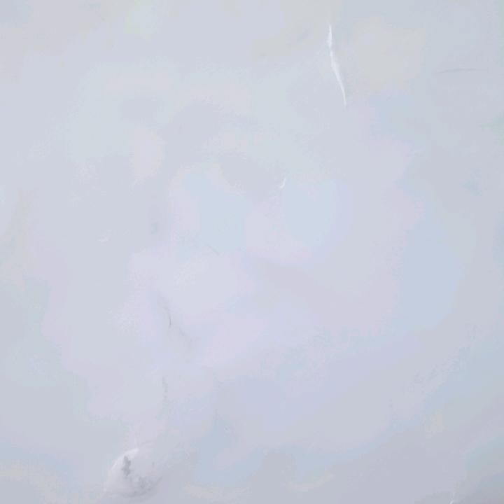 忍
