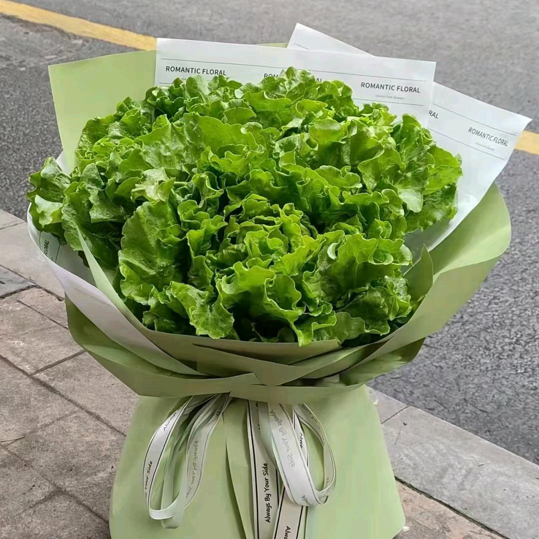 精品蔬菜，常年收购