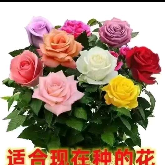 用户9485031346989