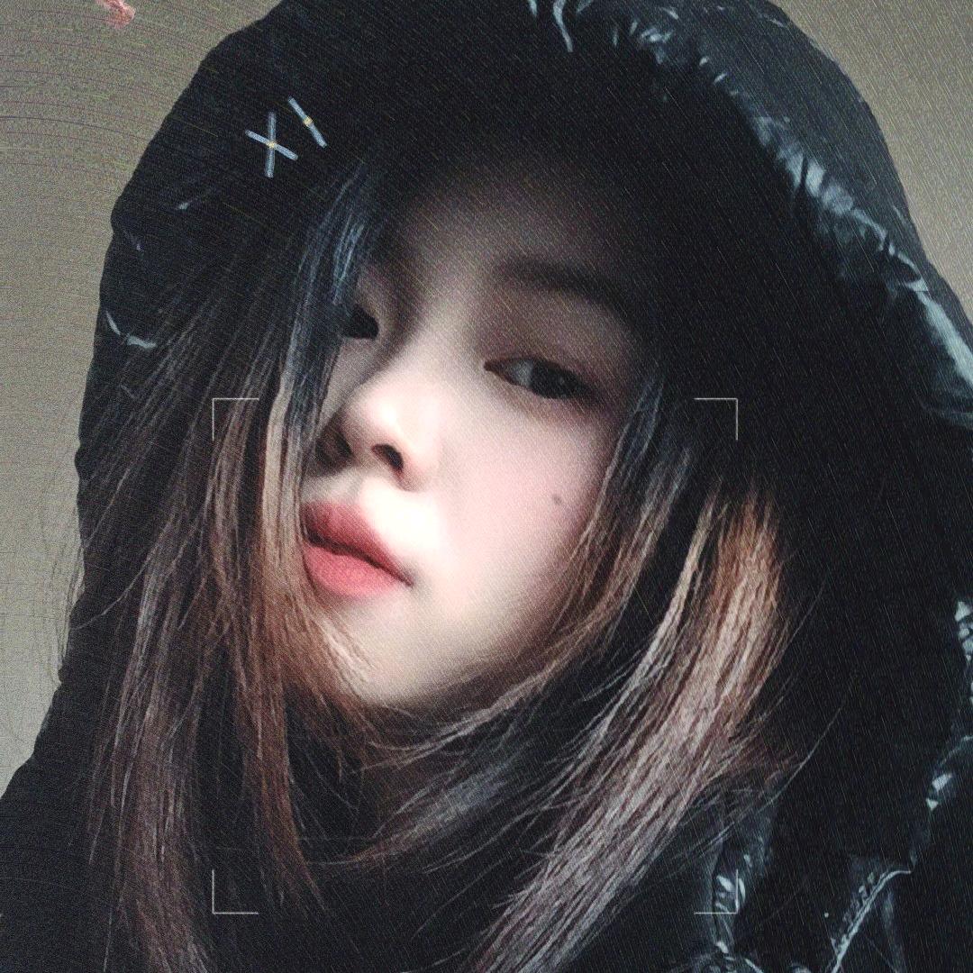 🌟✨珊
