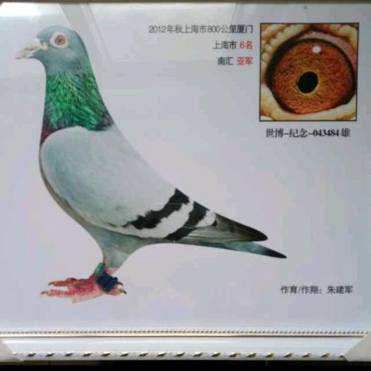 红红火火