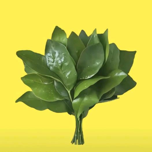 长到110斤，长命百岁