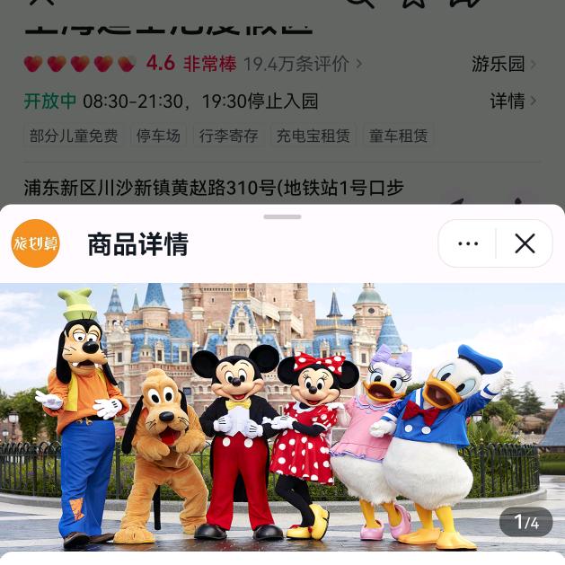 陈婷雨