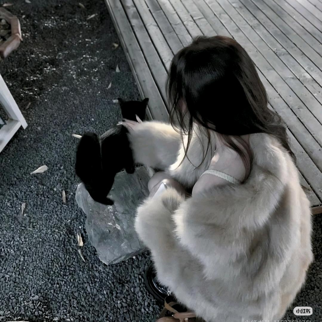 小苒🍭头像