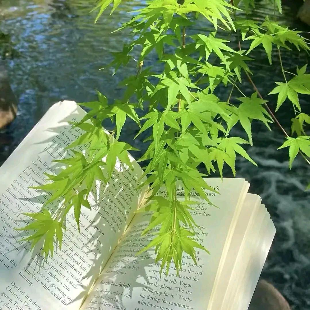 期待