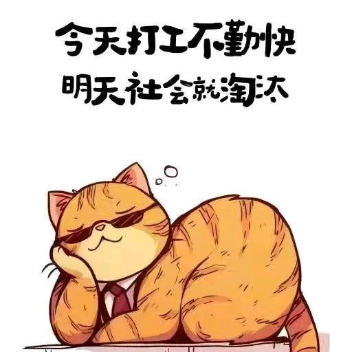 在西安教车的小马教练