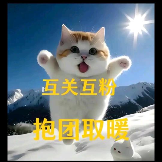 蓝梦