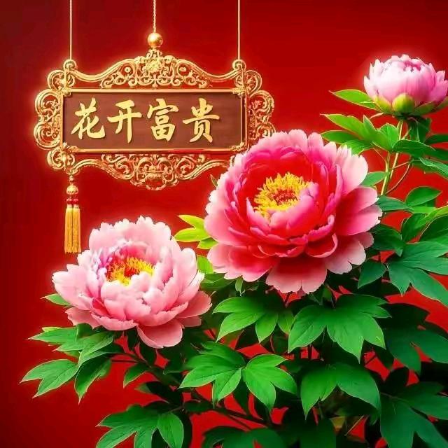 王姐荣华