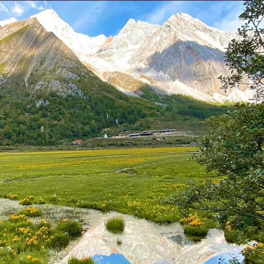 升学规划付老师