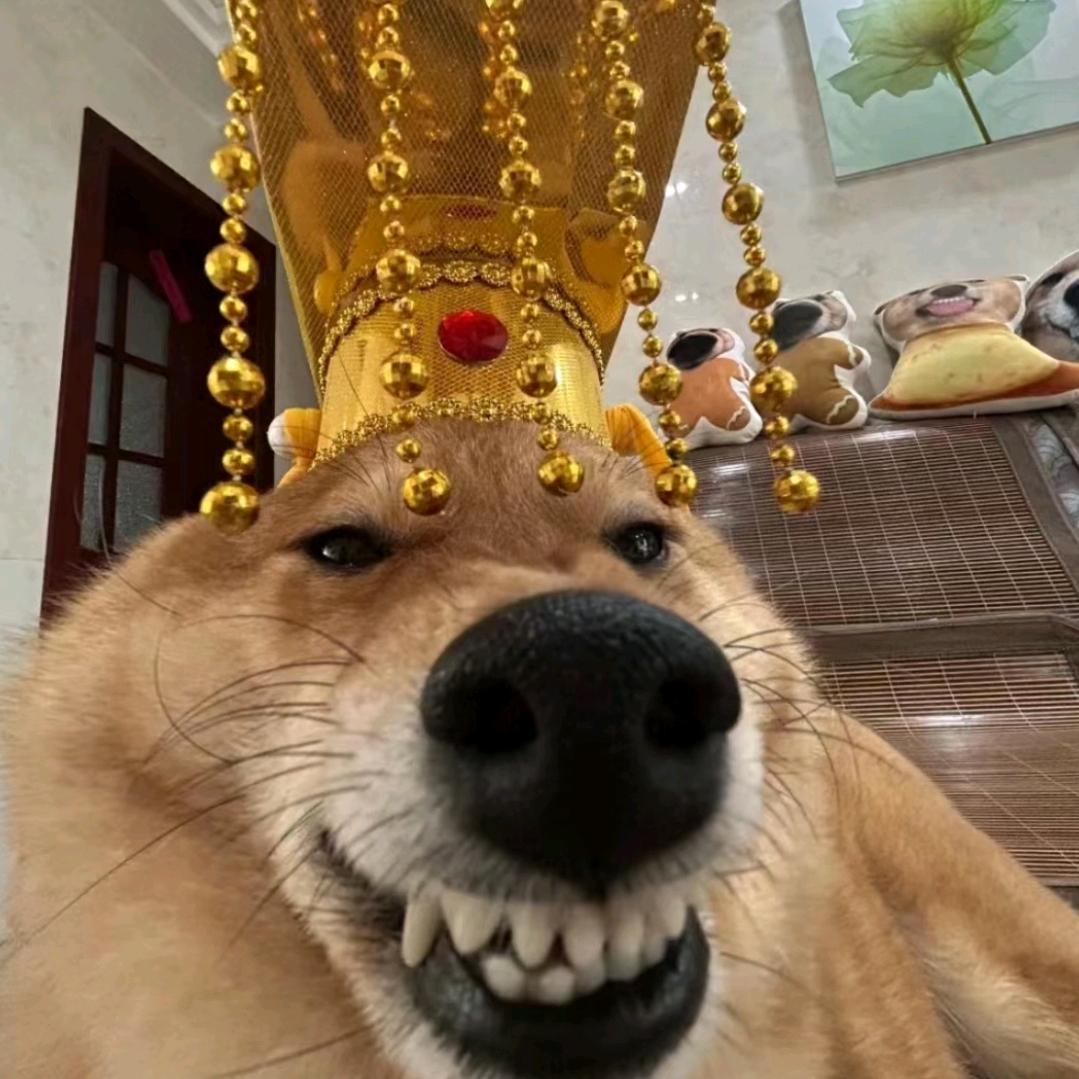 被反派纠缠的女配