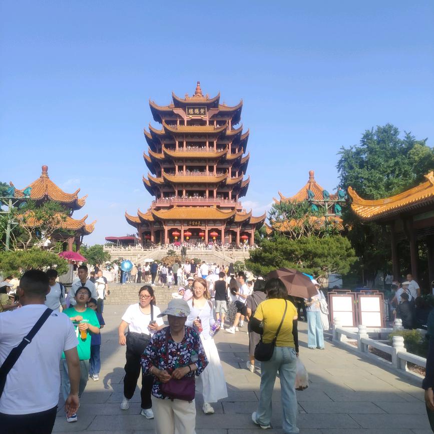 农明五哥