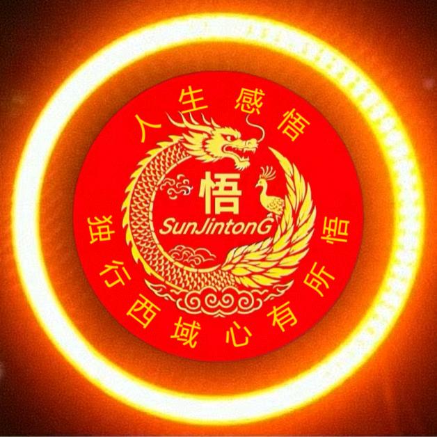 《 独行西域 》