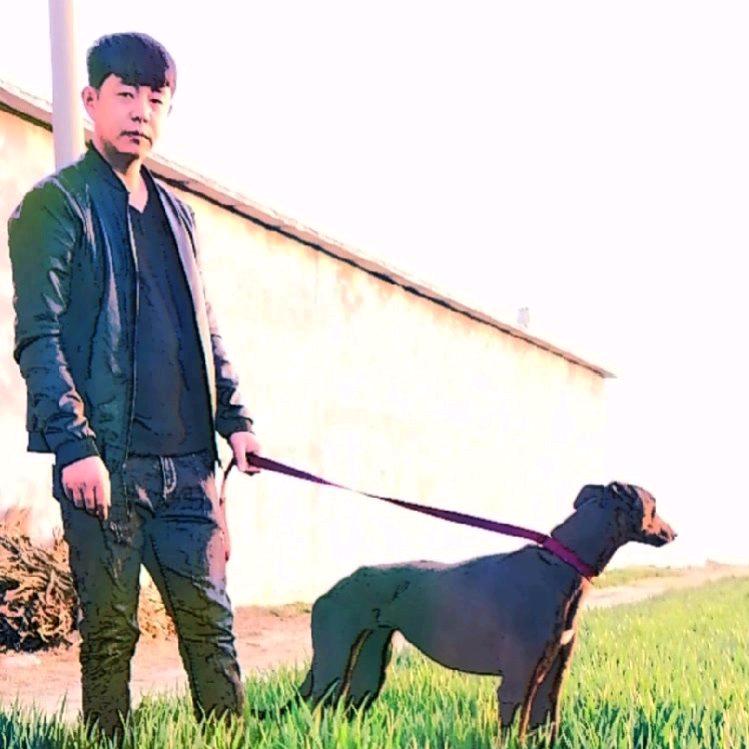 小蒋的管理