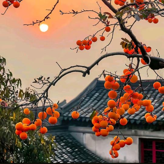 王小汐