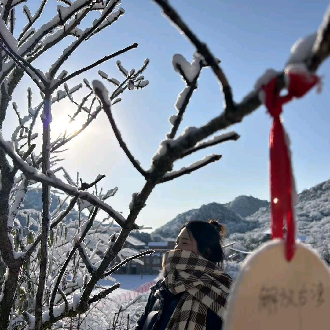 章鱼丸子