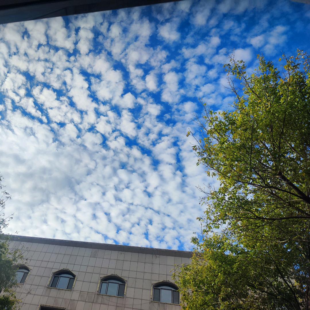 别乱发脾气🦀🦀