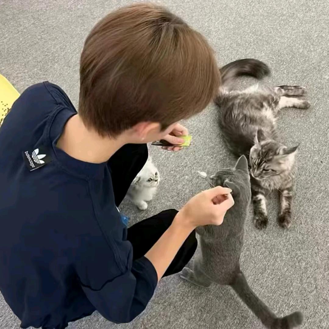 ξ