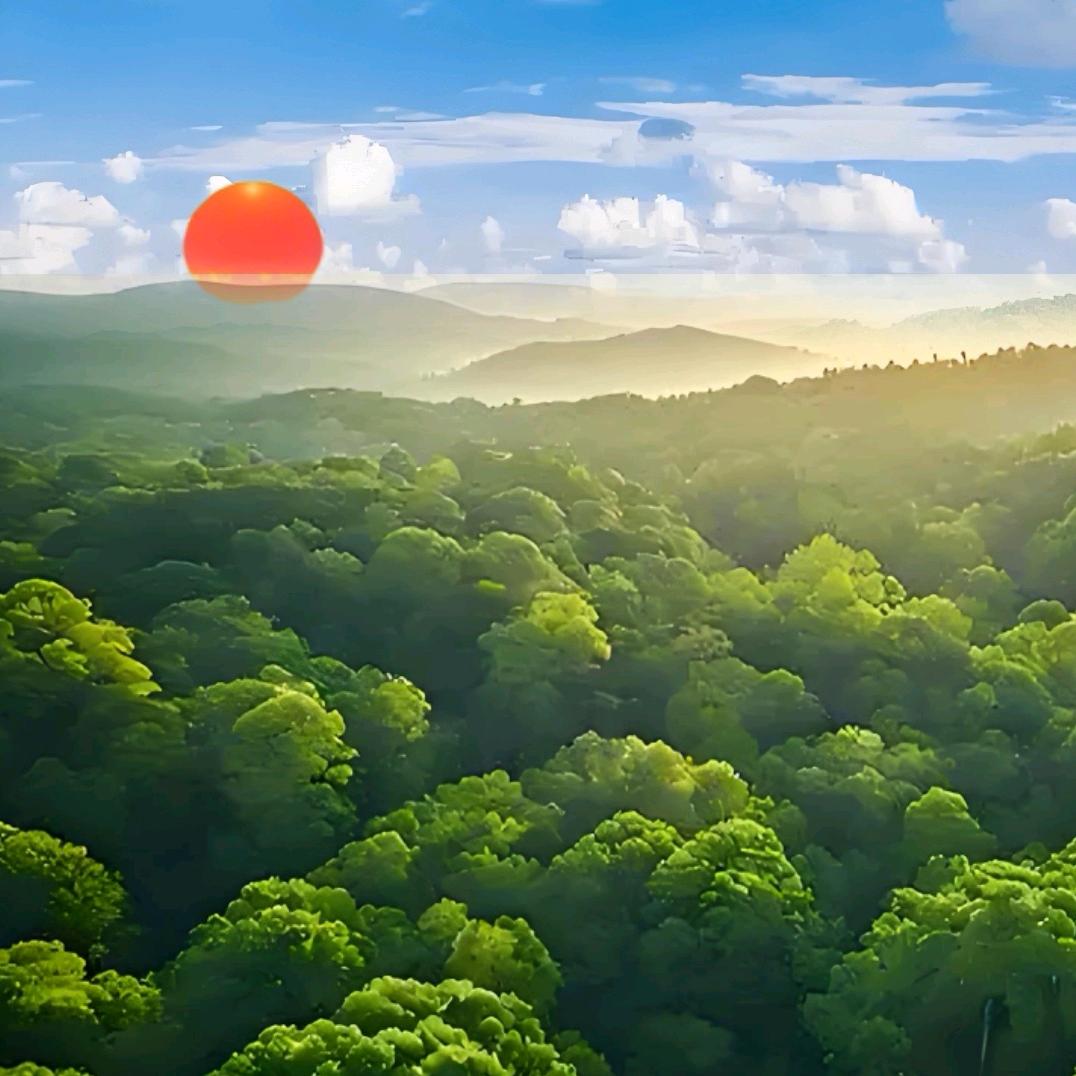 芳铎峰