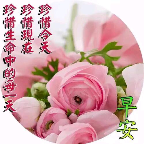 ᕙ心灵感悟ᕗ