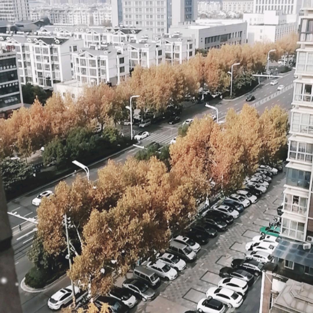 美好布局图