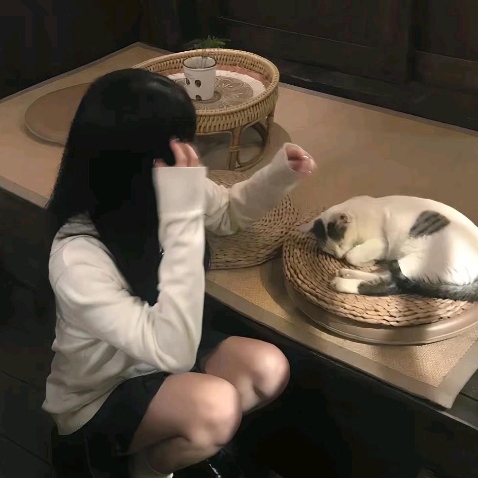 TEe柒月