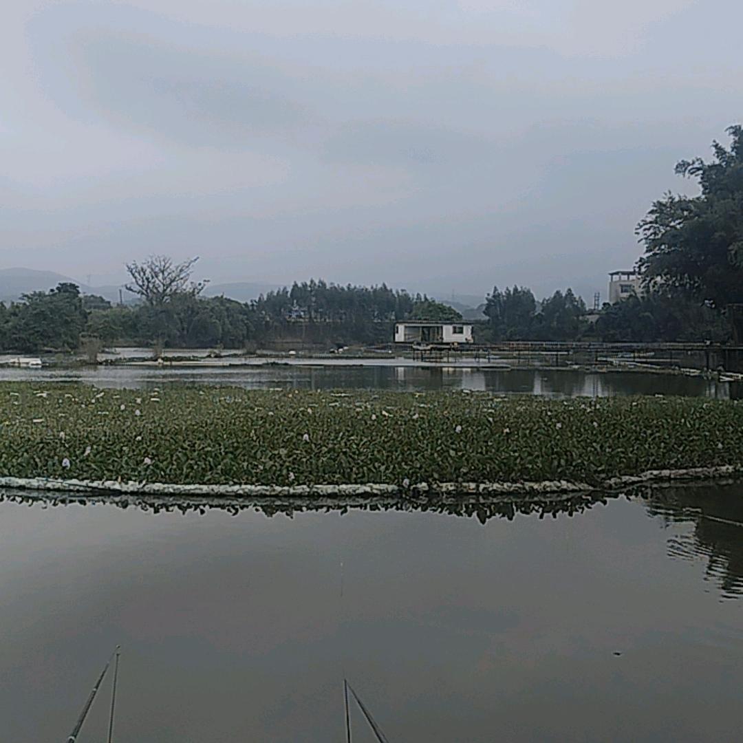 冷漠