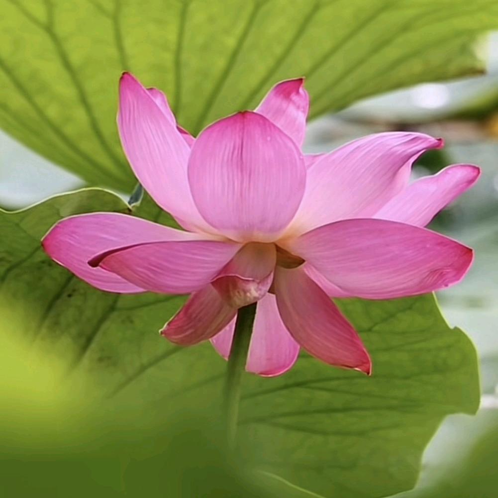 美美