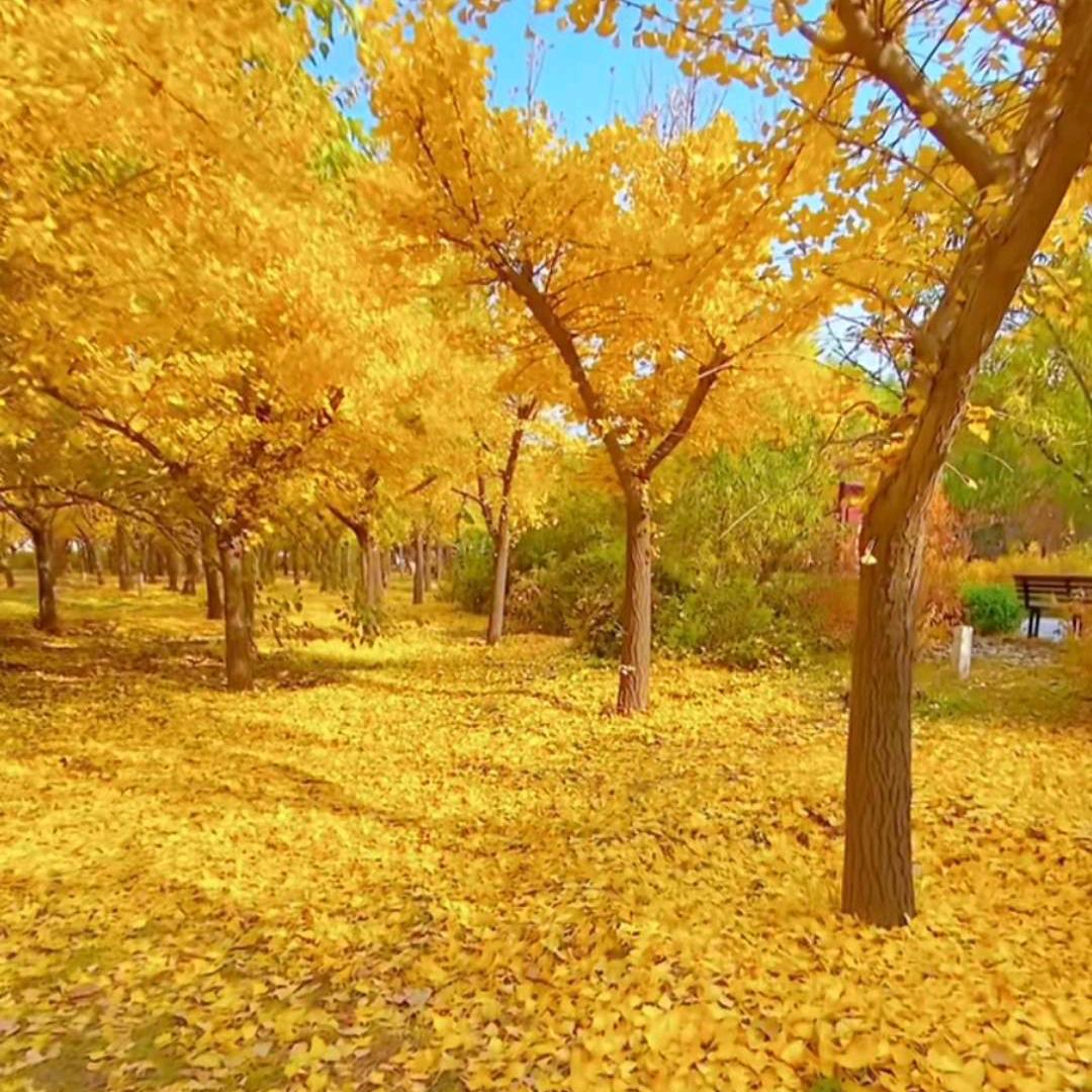 得之淡然，失之坦然