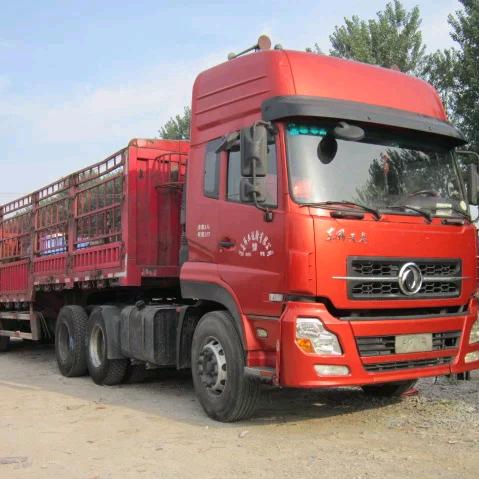 AAA大运重卡师傅（只跑国道）