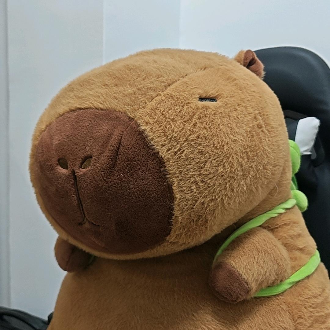 我有一只老大的卡皮巴拉