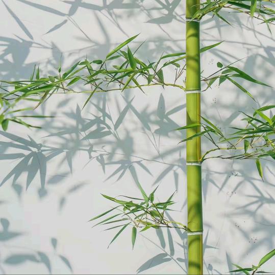 郭祈芝头像
