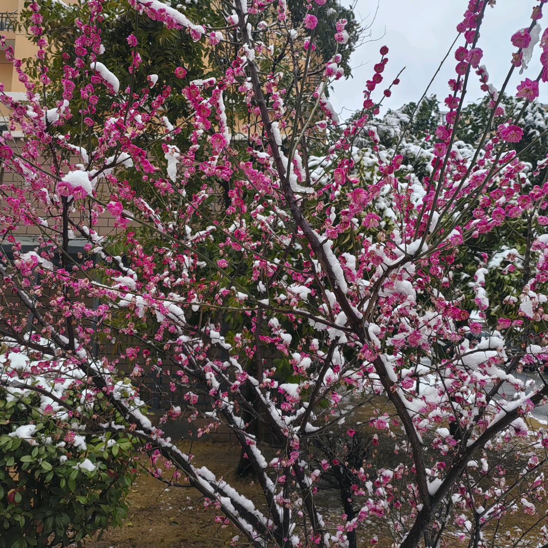 ✨初熙缘✨💞━╯