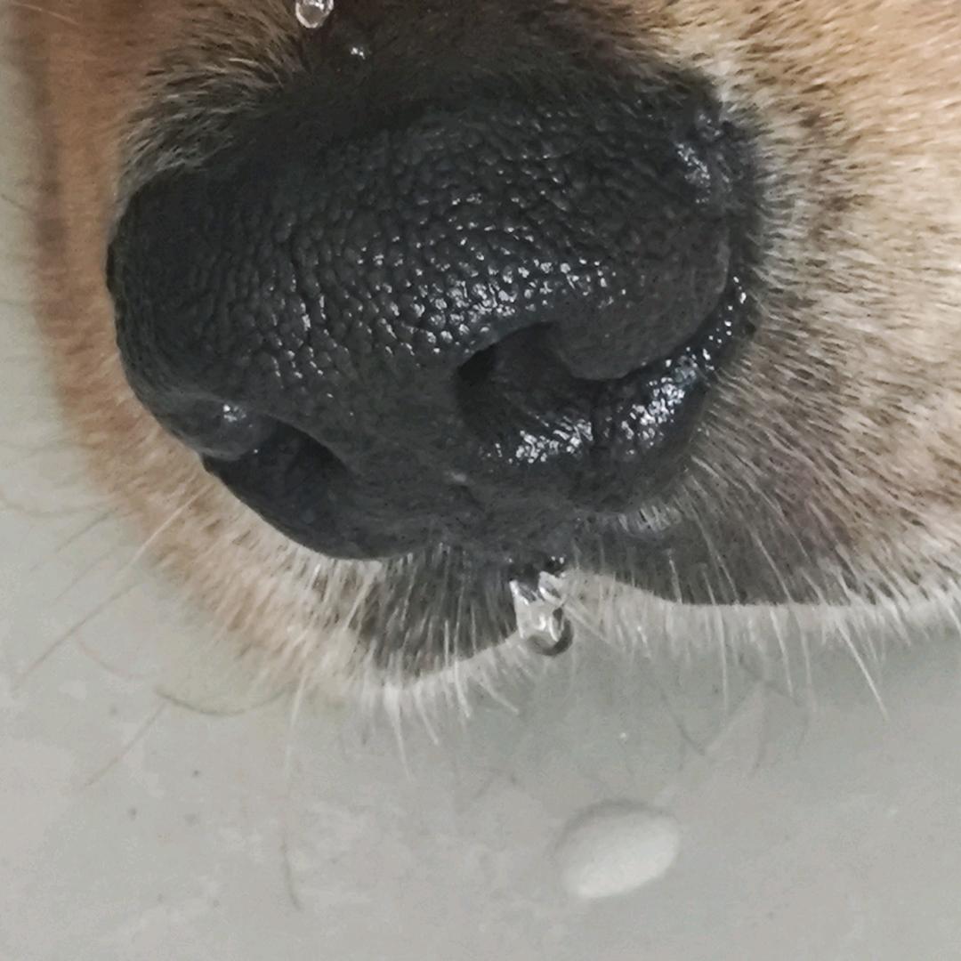 不要翘二郎腿✘✘✘