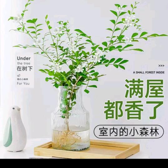国邦物业