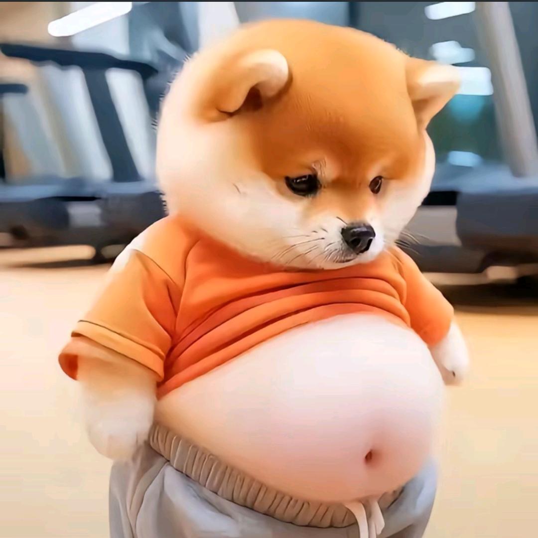 JX飓风电动工具