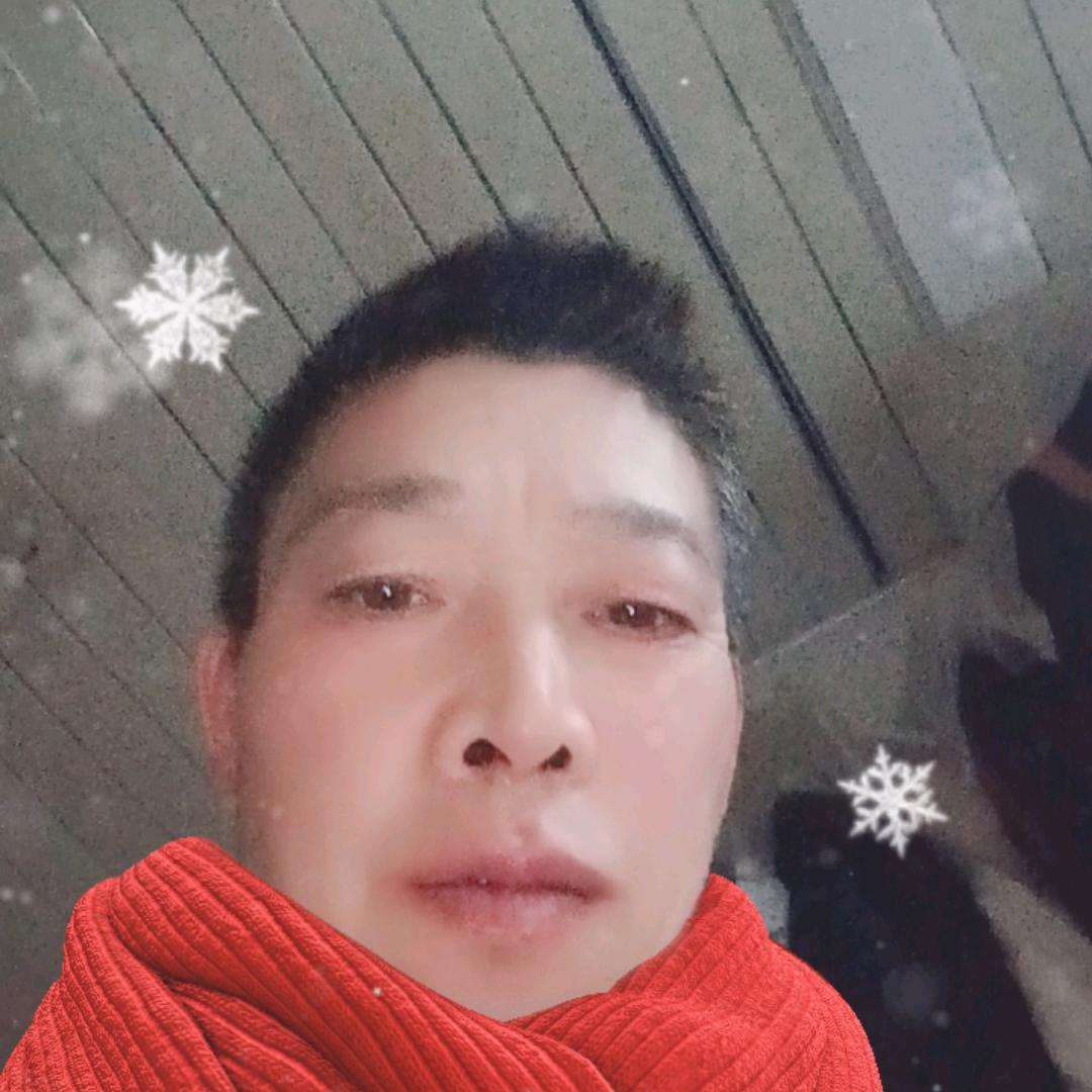 陈登友