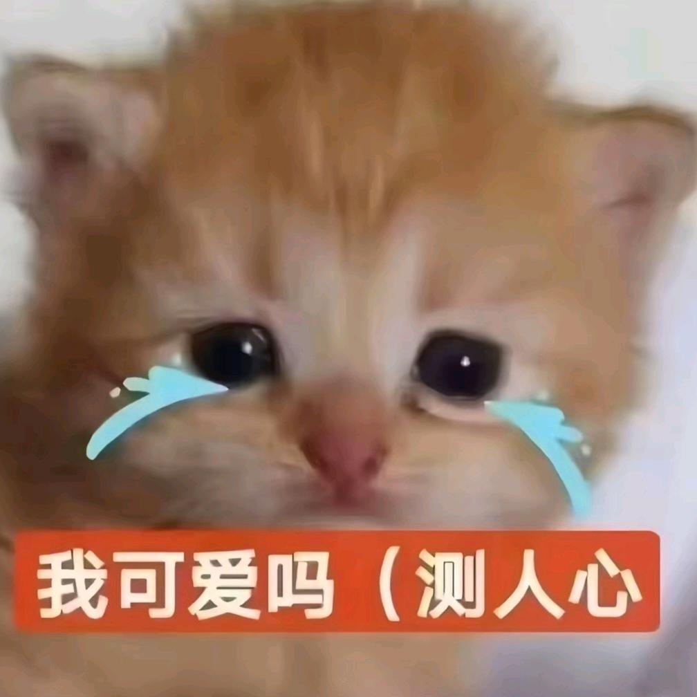玖玖别叭叭