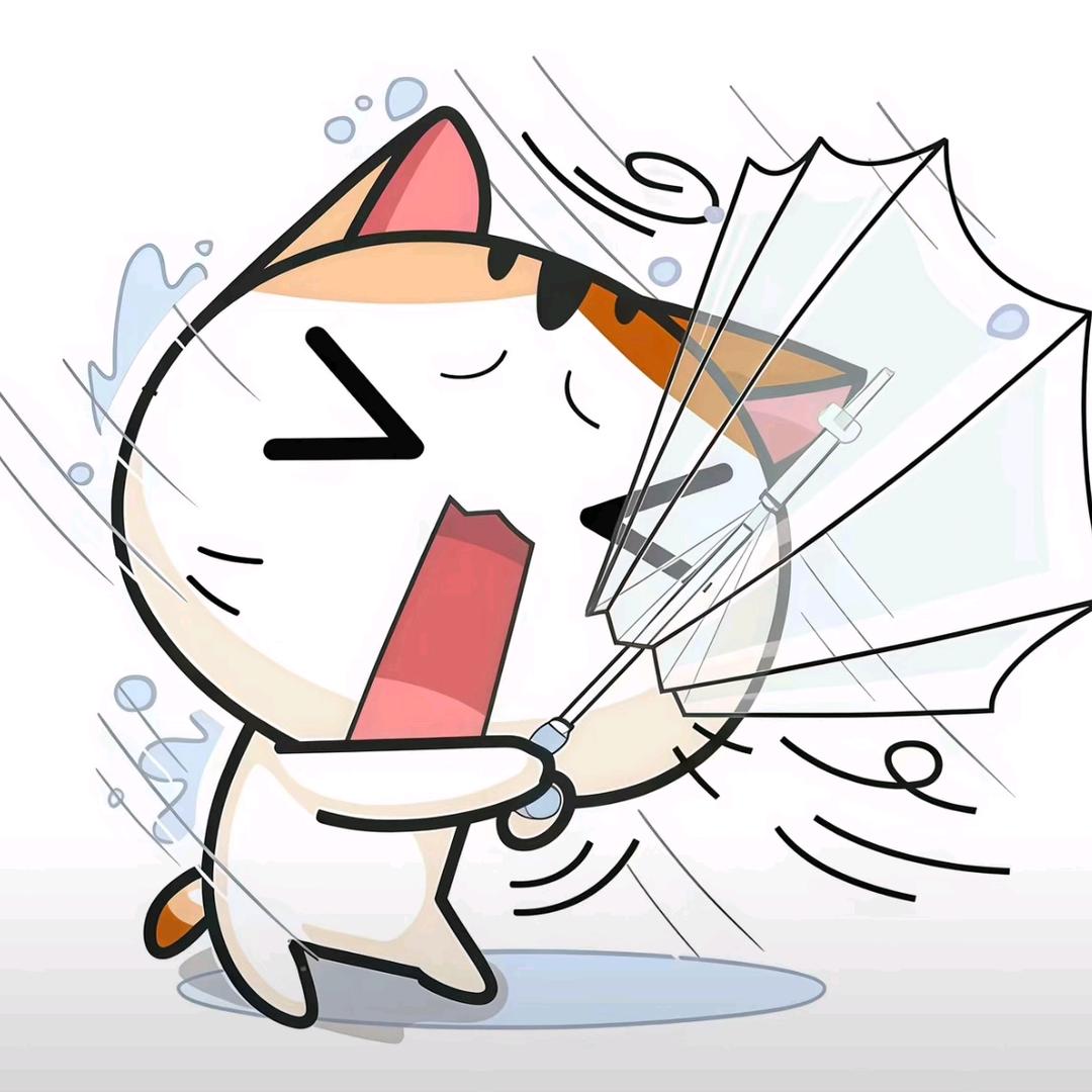 拖沓女王