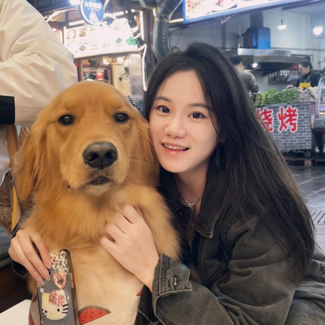 叮叮百宝箱