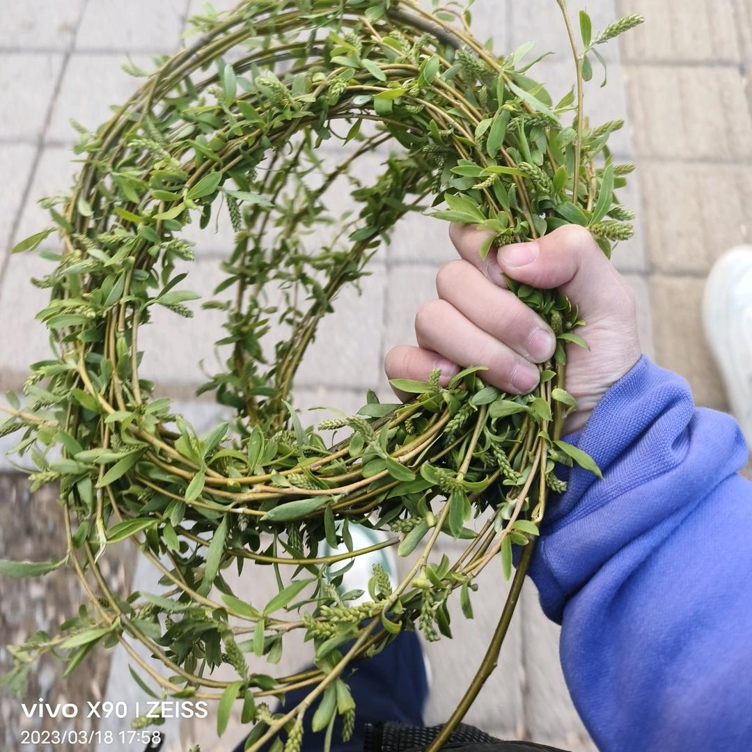 旅游福利推荐官
