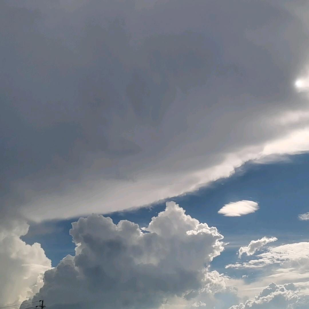 香香的味道太苦了。