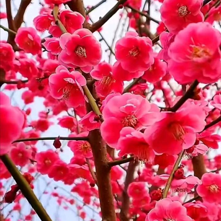 缘奋有你