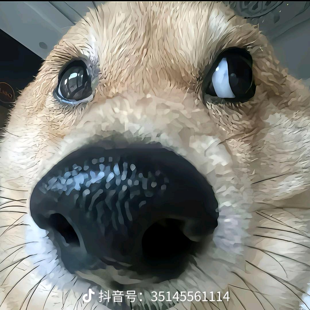 小偷遇见老太婆
