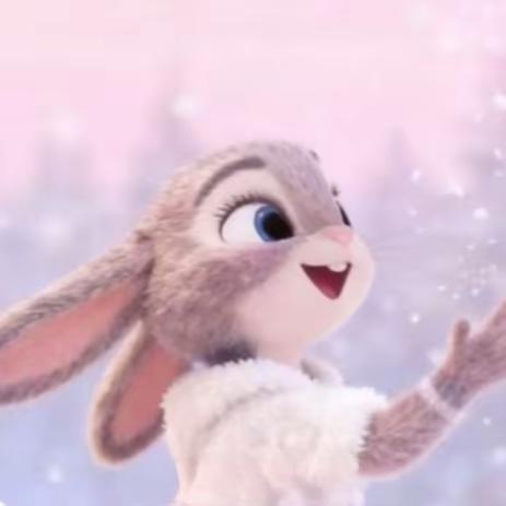 初九 小流星✨🎀✨🎀