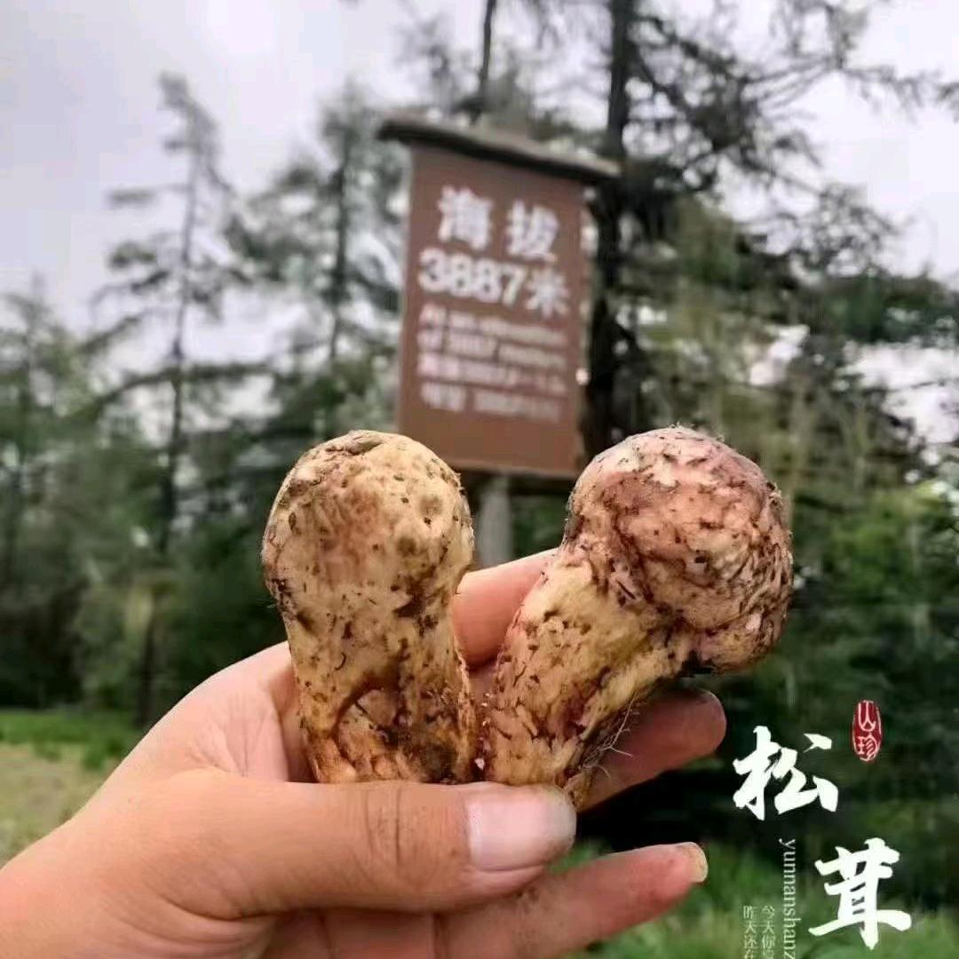 老山货