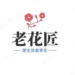 老花匠-教你养花