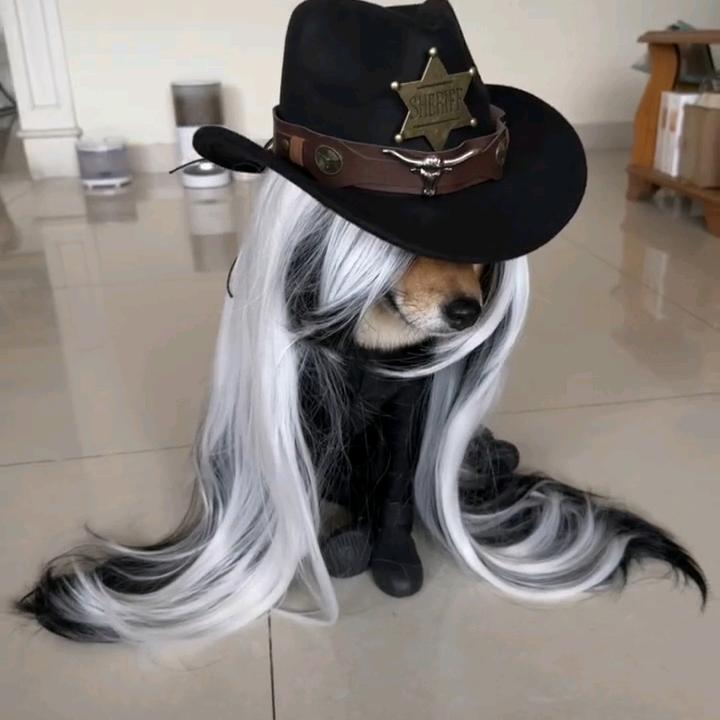 每天都起不来