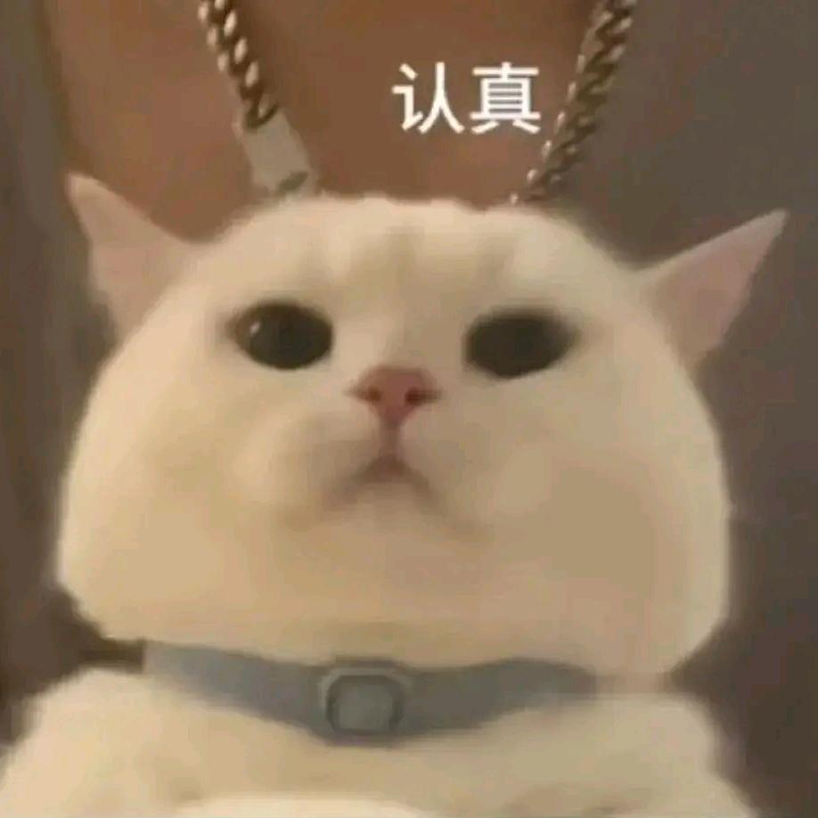 只玩乱斗