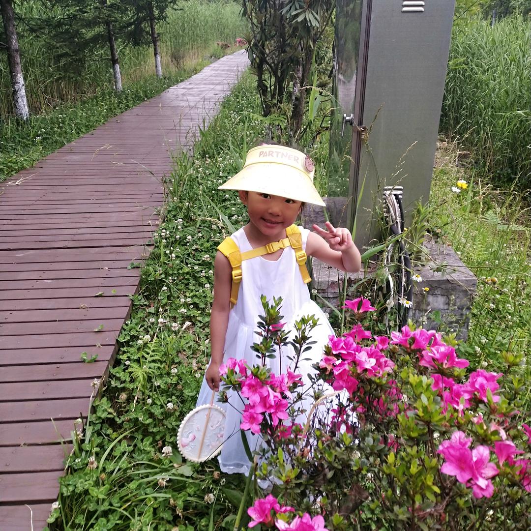 小柯伊