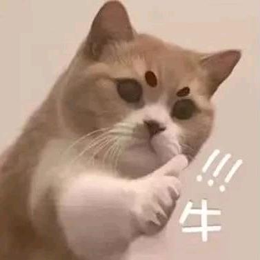 a缘